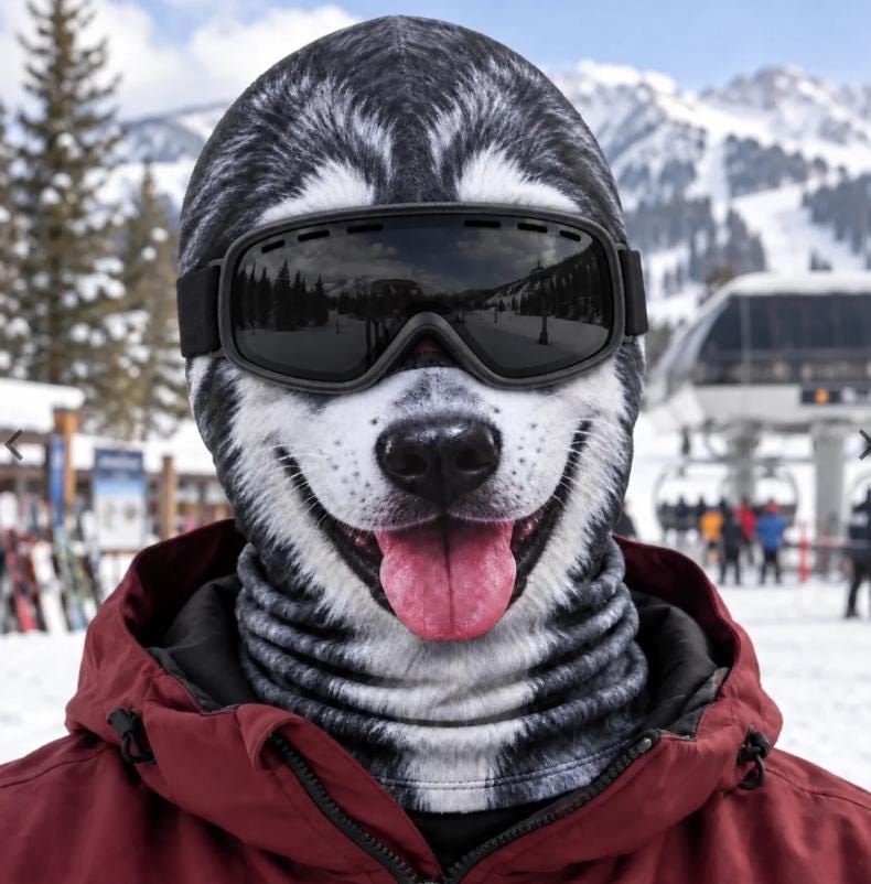 May include: A balaclava featuring a realistic black and white husky dog face print with a pink tongue, worn under black ski goggles with a dark tinted lens. The fabric covers the head and neck, paired with a dark red hooded winter jacket.